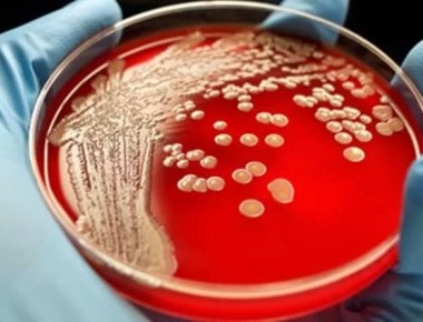 Αυτά είναι τα τρία «τέρατα» που ζουν μέσα στο ανθρώπινο σώμα